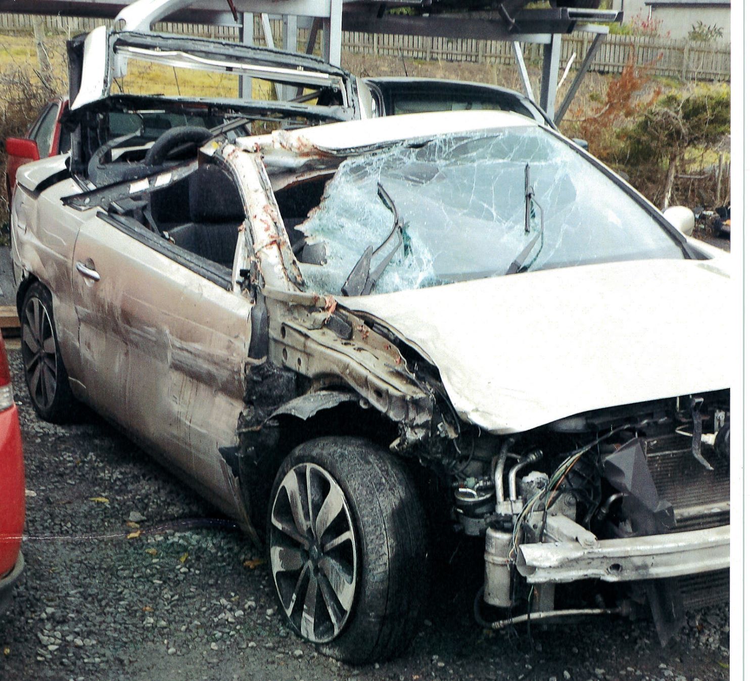 Featured Image for Case study – RTA high speed impact with livestock